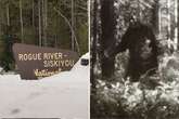 Camper's 'Big Foot' encounter miles away from Sasquatch-sighting hotspot