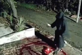 Man carries out satanic ritual with pentagram in blood and cow's head outside ex's home