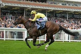 York’s Dante Festival Day One: Top betting tips from Daily Star expert Jason Heavey