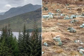 UK struck by major earthquake near iconic hiking spot as seismic activity ramps up