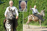 Legendary horse trainer Bill Turner wanted to 'train a zebra' but 'they don't have a brain'