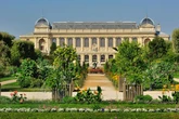 Second Paris museum heist as woman arrested over €1.5m gold theft after Louvre heist