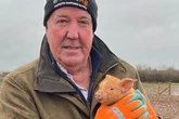Jeremy Clarkson hoping to bring home the bacon as he trademarks TV pig Richard Ham