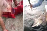 Angry fishermen batter shark with a club to punish it for horror attack on tourist