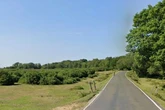 Man and woman found dead in camper van after weekend cider festival in New Forest