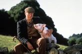 Babe actor made life-changing decision after watching cast 'eat his co-stars'