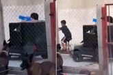 Kids play cartel hitmen with homemade 'narco tank' and toy guns in chilling video
