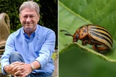 Alan Titchmarsh goes to war on beetle over fears it'll destroy our potatoes