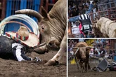Real-life Gladiator event as prisoners battle raging bulls so they can see family