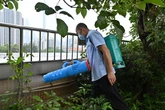 Cannibal mosquitos and killer fish' used to fight deadly virus after pandemic restrictions failed