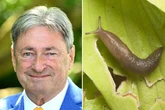 Alan Titchmarsh steps up slug hate campaign advising folk to electrocute them