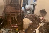 House of hell discovered by police who find baby living next to dead goat in bathtub