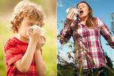 Hay fever hell for millions of Brits as early spring starts eight months of misery