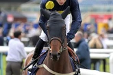 'He is a step ahead of the handicapper' – all Friday's racing tips