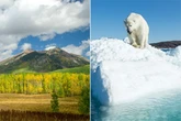Rare Arctic weather outbreak set to ‘turn US into Siberia’ for Thanksgiving
