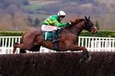 Cheltenham Gold Cup tragedy as Corbetts Cross dies after 'sustaining fatal injuries at Cheltenham