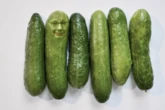 Forget Lettuce Liz Truss – Michael Gove reveals what rude-shaped vegetable he wants to be