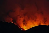 The week Britain burned with wildfires roaring across UK as experts issue dire warning