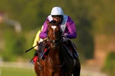 'He ran in the Derby and now looks a blot on the handicap' – Jason Heavey's Saturday tips