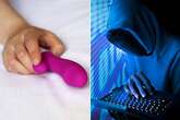 Vibrators could be 'weaponised' to maim users by hackers, tech boffins warn