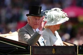 King Charles makes Ascot appearance as best dressed watch his horse Reaching High