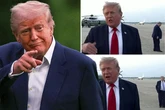 Donald Trump ‘replacement theory’ sparked by man in background of interview