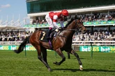 'He has Royal Ascot as his target' – Saturday's racing tips from seven meetings