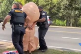 Police arrest 'penis woman' who goes floppy when authorities try and catch her