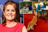 Queen still speaks to Sarah Ferguson – as ghost lives in her corgis and says 'woof'