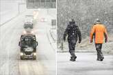 Exact date snow will hit all but 12 UK counties - see if yours is one of them