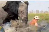 Tourist's lucky escape after six-tonne elephant flips canoe and tries to gore her