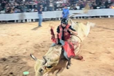 Rodeo rider killed trying to mount the bull in horror scenes a day before he turned 21
