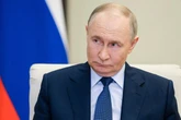 Mad Vlad already at war with Britain and US won't save us, expert says