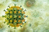 Deadly virus with 'life-threatening conditions' takes over country as WHO issues warning