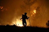 New travel advice for 'extreme weather' for Turkey after 50C heat and wildfires killing 17 people