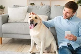 Dog owners skiving off work to care for sick pets - and it's costing the economy billions