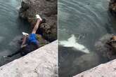 Wild moment Croc-wearing bloke slips off pier and lands on shark