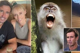 Paranoid famous sportsman cut short holiday because he feared monkeys were plotting against him