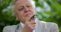 David Attenborough won't eat one thing so he can 'live past 100'