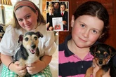 Family whose dog went missing 11 years ago stunned after finding her at vets 30 minutes from home