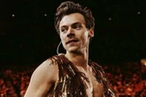 Harry's house still many steps away from completion as renovation headaches mount for Styles