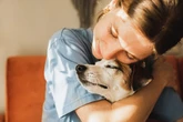 'Britain's most devoted dogs' support owners through chemo, injury and disease