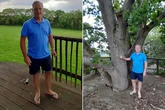 Grandad forced to remove treehouse built for family after neighbour complains