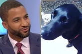 GMB's Sean Fletcher left 'crying and crying' as beloved pet dog dies