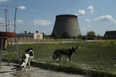 'Emergency situation' at Chernobyl nuclear power plant as it 'loses power'