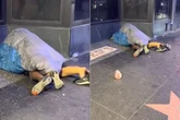 Randy couple filmed going at it under sleeping bag on public 'star-filled' street