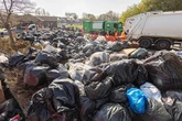 Daily Star question of the week: What do you really think of Birmingham's rat-astrophe?