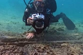 All you need to know as real-life Pirates of the Caribbean ships found in shark-plagued waters
