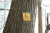 Couple searching for missing child find 'Bigfoot' instead – sparking grim theories