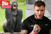 UK's 'hardest man' vows to 'beat up a gorilla' if he came face-to-face with one